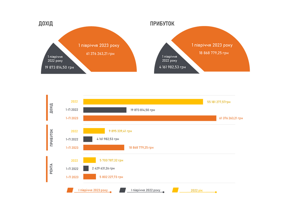 Результати аналізу фінансово-господарської діяльності в поточному 2023 році та на плановий рік