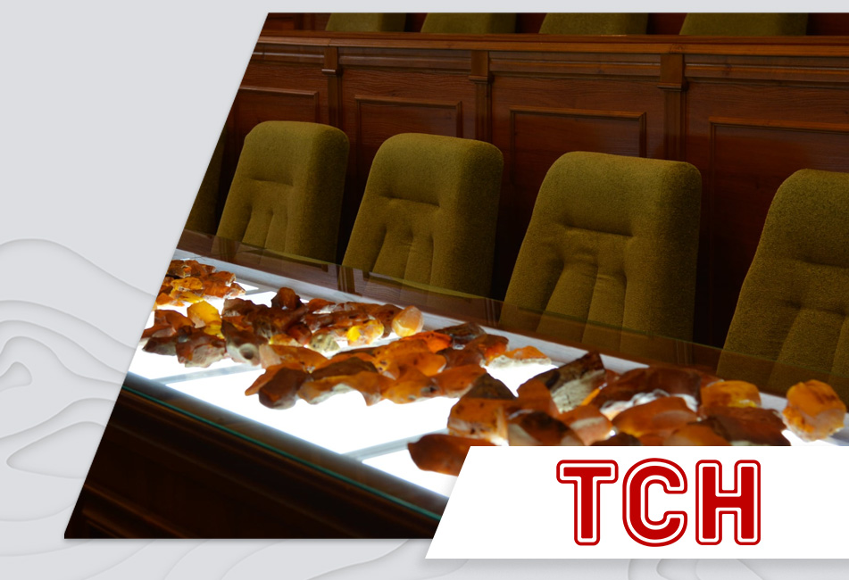 16.10.2020 - Бурштин з молотка: в Україні вперше відбувся відкритий аукціон із продажу природного каменю