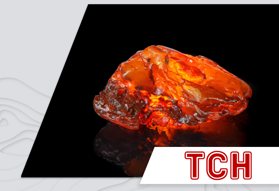 27.11.2020 - Тонна бурштину з молотка: на Волині відбувся відкритий аукціон вдруге за 2 місяці